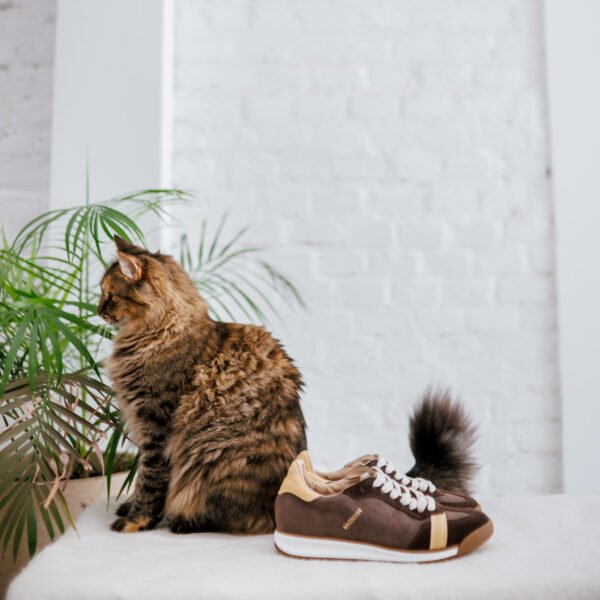 ZAPATILLA ETTA CHOCO