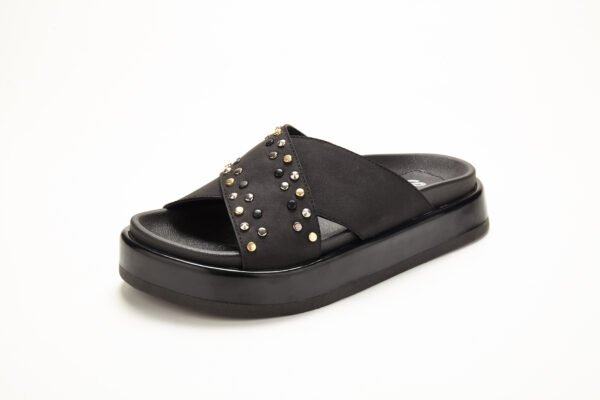 Davos291_3844 SV-DAVOS 291