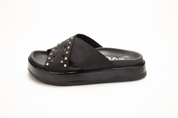 Davos291_3845 SV-DAVOS 291