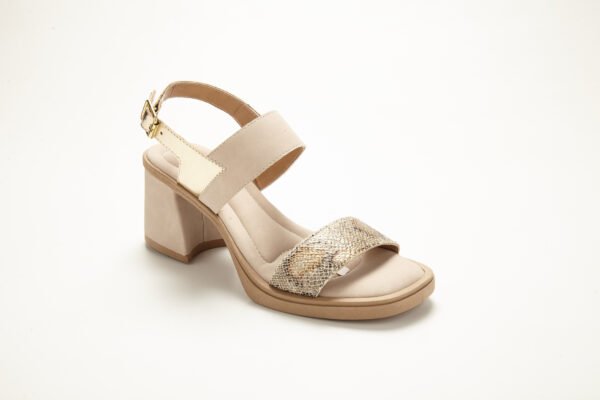 Ebro70_3863 SV-EBRO 70