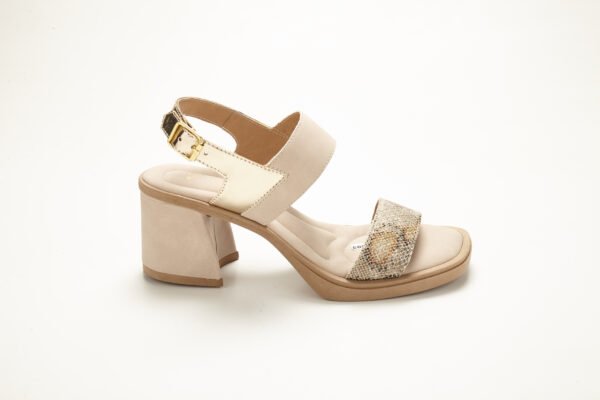 Ebro70_3864 SV-EBRO 70