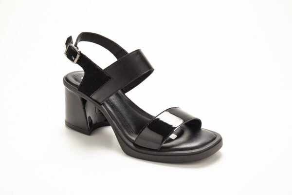 Ebro70_3867 SV-EBRO 70