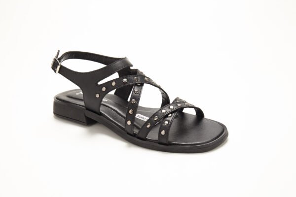 Euro31_3792 SV-EURO 31