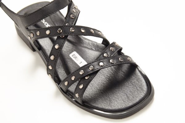 Euro31_3794 SV-EURO 31