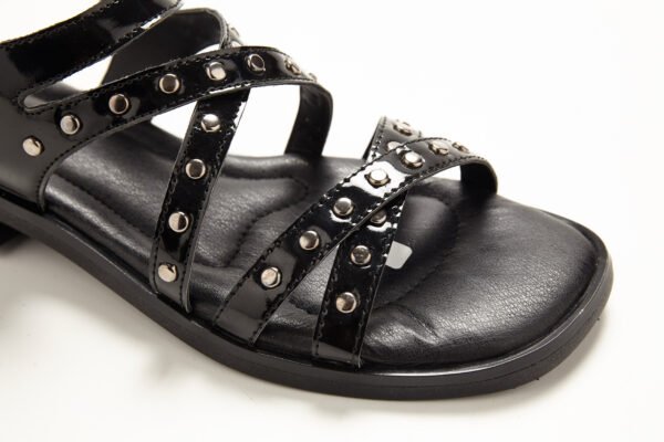 Euro31_3799 SV-EURO 31