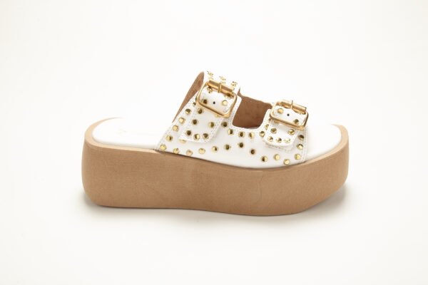 GM322_3891 SV-GM 322