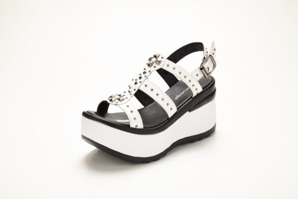 Kiev910_3975 SV-KIEV 910