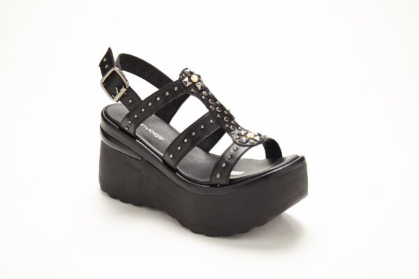 Kiev910_3978 SV-KIEV 910