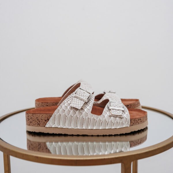 shelosophy-3 BIRK REPTIL