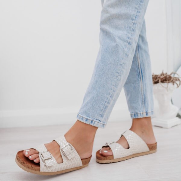 shelosophy-31 BIRK REPTIL