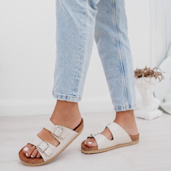 shelosophy-32 BIRK REPTIL