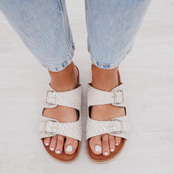 shelosophy-33 BIRK REPTIL