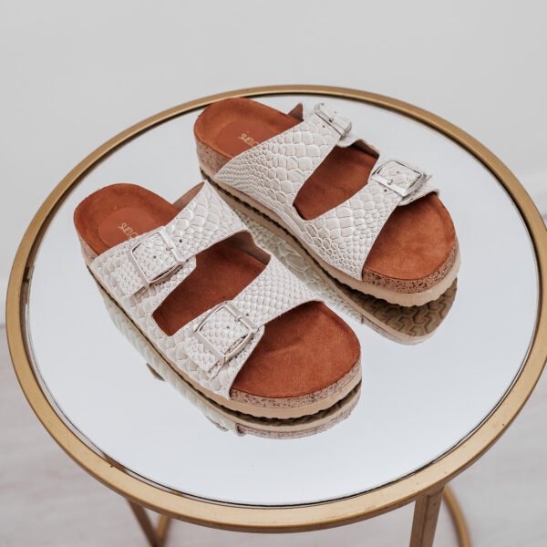 shelosophy-4 BIRK REPTIL